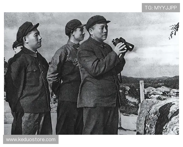 铁血丹心铸丰碑:重温《彭德怀元帅》中的不朽传奇